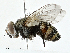  ( - CBG-A00362-A01)  @11 [ ] CreativeCommons - Attribution (2023) CBG Photography Group Centre for Biodiversity Genomics