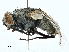 ( - BIOUG98653-A04)  @11 [ ] CreativeCommons - Attribution (2023) CBG Photography Group Centre for Biodiversity Genomics