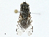  ( - BIOUG98653-D03)  @11 [ ] CreativeCommons - Attribution (2023) CBG Photography Group Centre for Biodiversity Genomics