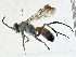  ( - CBG-A00298-F02)  @11 [ ] CreativeCommons - Attribution (2023) CBG Photography Group Centre for Biodiversity Genomics
