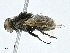  ( - CBG-A00347-E10)  @11 [ ] CreativeCommons - Attribution (2023) CBG Photography Group Centre for Biodiversity Genomics
