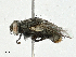  ( - CBG-A00347-F01)  @11 [ ] CreativeCommons - Attribution (2023) CBG Photography Group Centre for Biodiversity Genomics