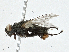  ( - CBG-A00347-F02)  @11 [ ] CreativeCommons - Attribution (2023) CBG Photography Group Centre for Biodiversity Genomics