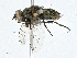  ( - CBG-A00347-F03)  @11 [ ] CreativeCommons - Attribution (2023) CBG Photography Group Centre for Biodiversity Genomics