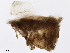  ( - BIOUG43302-C12)  @11 [ ] CreativeCommons - Attribution (2020) CBG Photography Group Centre for Biodiversity Genomics