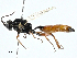  ( - BIOUG98651-C04)  @11 [ ] CreativeCommons - Attribution (2023) CBG Photography Group Centre for Biodiversity Genomics