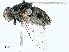  ( - BIOUG98651-F09)  @11 [ ] CreativeCommons - Attribution (2023) CBG Photography Group Centre for Biodiversity Genomics