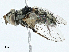  ( - BIOUG98651-F12)  @11 [ ] CreativeCommons - Attribution (2023) CBG Photography Group Centre for Biodiversity Genomics