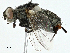  ( - BIOUG98651-H01)  @11 [ ] CreativeCommons - Attribution (2023) CBG Photography Group Centre for Biodiversity Genomics