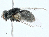  ( - BIOUG98652-E05)  @11 [ ] CreativeCommons - Attribution (2023) CBG Photography Group Centre for Biodiversity Genomics