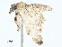  ( - BIOUG99541-E06)  @11 [ ] CreativeCommons - Attribution (2023) CBG Photography Group Centre for Biodiversity Genomics