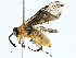  ( - BIOUG99541-F04)  @11 [ ] CreativeCommons - Attribution (2023) CBG Photography Group Centre for Biodiversity Genomics