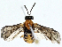  ( - BIOUG99541-F05)  @11 [ ] CreativeCommons - Attribution (2023) CBG Photography Group Centre for Biodiversity Genomics