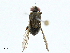  ( - BIOUG99542-D06)  @11 [ ] CreativeCommons - Attribution (2023) CBG Photography Group Centre for Biodiversity Genomics
