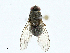  ( - BIOUG99542-D10)  @11 [ ] CreativeCommons - Attribution (2023) CBG Photography Group Centre for Biodiversity Genomics