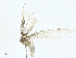  ( - BIOUG99543-A06)  @11 [ ] CreativeCommons - Attribution (2023) CBG Photography Group Centre for Biodiversity Genomics