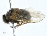  ( - BIOUG99543-B07)  @11 [ ] CreativeCommons - Attribution (2023) CBG Photography Group Centre for Biodiversity Genomics