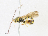  ( - CBG-A16719-C09)  @11 [ ] CreativeCommons - Attribution Share - Alike (2023) CBG Photography Group Centre for Biodiversity Genomics