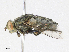  ( - CBG-A16719-E06)  @11 [ ] CreativeCommons - Attribution Share - Alike (2023) CBG Photography Group Centre for Biodiversity Genomics