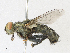  ( - CBG-A16720-B12)  @11 [ ] CreativeCommons - Attribution Share - Alike (2023) CBG Photography Group Centre for Biodiversity Genomics