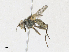  ( - CBG-A16720-C10)  @11 [ ] CreativeCommons - Attribution Share - Alike (2023) CBG Photography Group Centre for Biodiversity Genomics