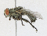  ( - CBG-A21616-B03)  @11 [ ] CreativeCommons - Attribution Share-Alike (2023) CBG Photography Group Centre for Biodiversity Genomics