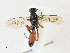  ( - CBG-A21616-C10)  @11 [ ] CreativeCommons - Attribution Share-Alike (2023) CBG Photography Group Centre for Biodiversity Genomics