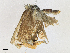  ( - CBG-A21616-E04)  @11 [ ] CreativeCommons - Attribution Share-Alike (2023) CBG Photography Group Centre for Biodiversity Genomics
