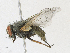  ( - CBG-A21689-D11)  @11 [ ] CreativeCommons - Attribution Share-Alike (2023) CBG Photography Group Centre for Biodiversity Genomics
