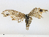  ( - CBG-A21689-E05)  @11 [ ] CreativeCommons - Attribution Share-Alike (2023) CBG Photography Group Centre for Biodiversity Genomics