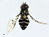  ( - BIOUG97736-D12)  @11 [ ] CreativeCommons - Attribution (2023) CBG Photography Group Centre for Biodiversity Genomics