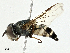  ( - BIOUG97736-E01)  @11 [ ] CreativeCommons - Attribution (2023) CBG Photography Group Centre for Biodiversity Genomics
