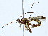  ( - BIOUG97758-C11)  @11 [ ] CreativeCommons - Attribution (2023) CBG Photography Group Centre for Biodiversity Genomics