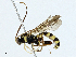  ( - BIOUG97758-D01)  @11 [ ] CreativeCommons - Attribution (2023) CBG Photography Group Centre for Biodiversity Genomics