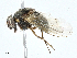  ( - BIOUG97759-C05)  @11 [ ] CreativeCommons - Attribution (2023) CBG Photography Group Centre for Biodiversity Genomics