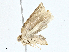  ( - BIOUG97759-F04)  @11 [ ] CreativeCommons - Attribution (2023) CBG Photography Group Centre for Biodiversity Genomics