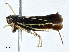  ( - BIOUG97760-B12)  @11 [ ] CreativeCommons - Attribution (2023) CBG Photography Group Centre for Biodiversity Genomics