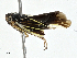  ( - BIOUG97760-C01)  @11 [ ] CreativeCommons - Attribution (2023) CBG Photography Group Centre for Biodiversity Genomics
