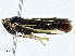  ( - BIOUG99558-C04)  @11 [ ] CreativeCommons - Attribution (2023) CBG Photography Group Centre for Biodiversity Genomics