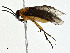  ( - BIOUG99559-A01)  @11 [ ] CreativeCommons - Attribution (2023) CBG Photography Group Centre for Biodiversity Genomics