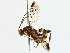  ( - BIOUG99559-A02)  @11 [ ] CreativeCommons - Attribution (2023) CBG Photography Group Centre for Biodiversity Genomics