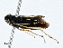  ( - BIOUG99559-E07)  @11 [ ] CreativeCommons - Attribution (2023) CBG Photography Group Centre for Biodiversity Genomics