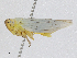  ( - CBG-A00272-B03)  @11 [ ] CreativeCommons - Attribution (2023) CBG Photography Group Centre for Biodiversity Genomics