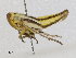  ( - CBG-A00272-C02)  @11 [ ] CreativeCommons - Attribution (2023) CBG Photography Group Centre for Biodiversity Genomics