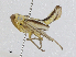  ( - CBG-A00272-C03)  @11 [ ] CreativeCommons - Attribution (2023) CBG Photography Group Centre for Biodiversity Genomics