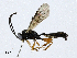  ( - CBG-A01197-C08)  @11 [ ] CreativeCommons - Attribution (2023) CBG Photography Group Centre for Biodiversity Genomics