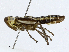  ( - CBG-A01197-E03)  @11 [ ] CreativeCommons - Attribution (2023) CBG Photography Group Centre for Biodiversity Genomics