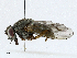  ( - CBG-A02874-G06)  @11 [ ] CreativeCommons - Attribution (2023) CBG Photography Group Centre for Biodiversity Genomics