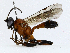  ( - CBG-A02875-E03)  @11 [ ] CreativeCommons - Attribution (2023) CBG Photography Group Centre for Biodiversity Genomics