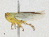  ( - CBG-A02876-H05)  @11 [ ] CreativeCommons - Attribution (2023) CBG Photography Group Centre for Biodiversity Genomics